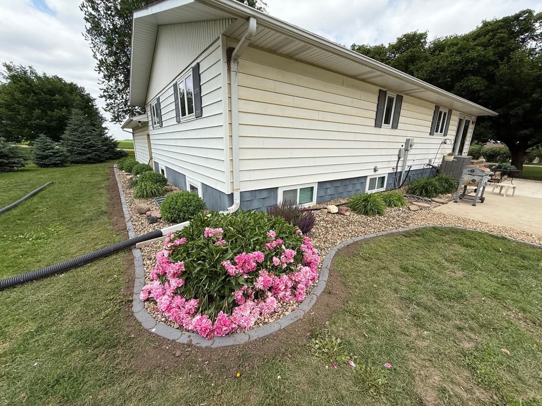Lush flower bed with pink blooms beside a home with white siding and landscaped garden.