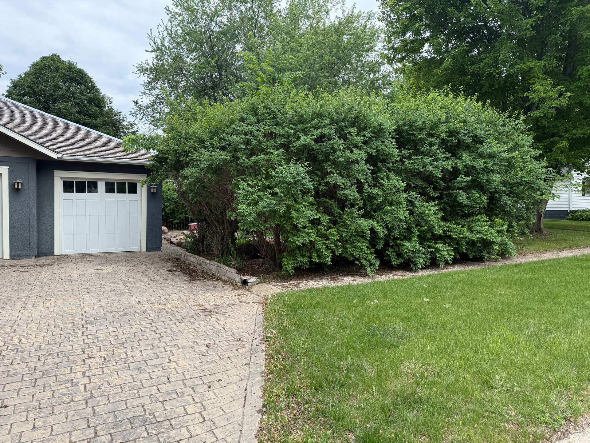 Overgrown Property Cleared Down to a Clean Slate